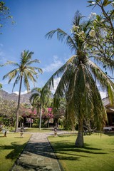 Fototapeta premium Exotic view in Bali