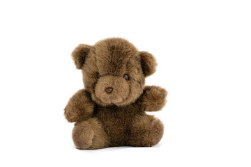 soft toy teddy bear  sitting on white background.