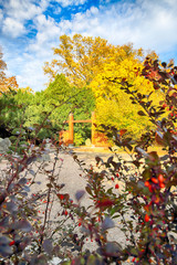 WROCLAW, POLAND - OCTOBER 18, 2019: Japanese Garden is situated in the vicinity of the historical...