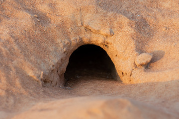 The hole in the sand dunes of a nocturnal lizard. Not to be found in the daytime.