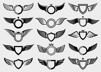 Wings set. Collection icon wings. Vector