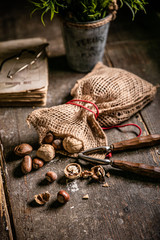 nuts cracked on table