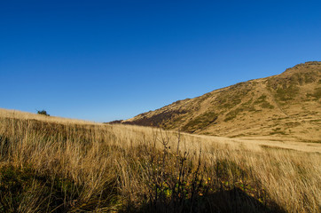 Naklejka premium Bieszczadzka jesień 
