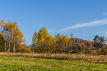 Bieszczadzka jesień 