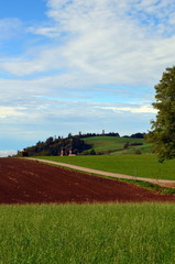 Obraz premium Grüne Landschaft bei St. Peter im Schwarzwald