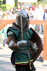 the Medieval knight before battle