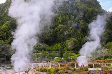 Beautiful landscape sceneries in Azores Portugal. Nature. Beautiful tropical rainforest in  Sao...