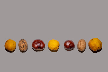 horizontale Reihe aus Kastanien, Walnüssen und Kienäpfel