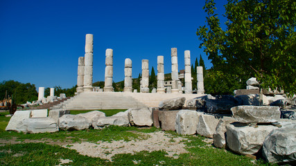The Sanctuary of Apollo Temple of Smintheus and the Lord of Mice