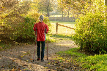 A woman with blond hair is doing nordic walking. She walks through a autumnal deciduous forest. The...