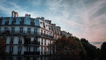 Fototapeta na wymiar street in paris