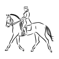 Fototapeta na wymiar horse and rider, horsemanship sketch 