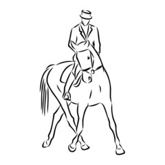 Fototapeta na wymiar riding horse , horsemanship sketch 