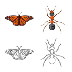 Vector design of insect and fly logo. Collection of insect and element stock symbol for web.