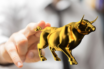 stock Trading digital Investment dashboard