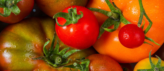 Food composition from fresh tomato varieties close-up with drops of water