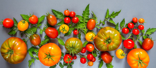 Food.vegetables .The composition of fresh tomato and leaves on a light blue background with a copy space.The pattern of the frame.Flat lay top view