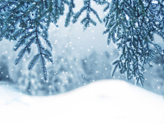 winter christmas background with snow and fir branches frame