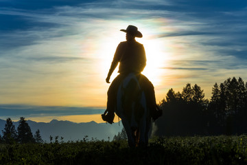 Cowboy riding across grassland with moutains behind, early moring, British Colombia, B.C., Canada