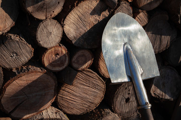 Old rusty shovel prop up against Old wooden wall, Wooden texture background