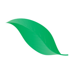 Green Leave Natural logo design