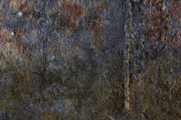 Texture. A fragment of the wall of an old wet basement covered with white mold and stains of rust. Close-up.