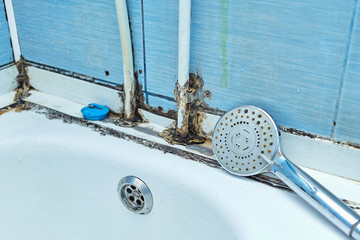 Bathroom infected by black mold and fungus.