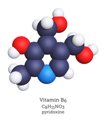 Vitamin B6, thiamin, as a molecular model