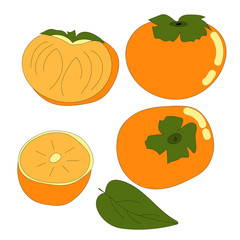 Set of juicy vector persimmon fruits.