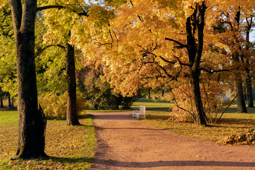 Golden autumn in Catherine Park, Pushkin, St. Petersburg, Russia