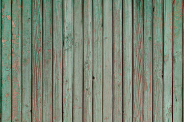 Obraz premium Surface from old boards with dried paint.