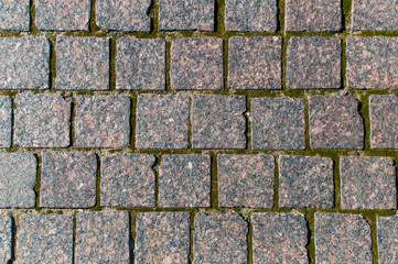 Texture of pedestrian cobblestone pavement with moss.