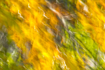 abstract yellow background with leaves