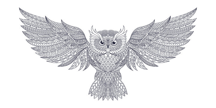 black and white owl zentangle vector