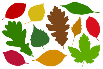 Autumn composition collection. Vector color illustration Frame made of autumn leaves, acorn, pine cones on white background. Flat lay, top view, 