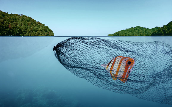 Fishing net under water gillnet in the ocean with rock and blue