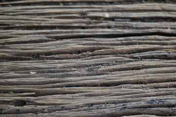 texture of wood