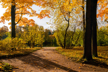 Golden autumn in Catherine Park, Pushkin, St. Petersburg, Russia