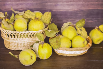 quince fruit in a basket close-up. wooden background with golden ripe quince fruits.