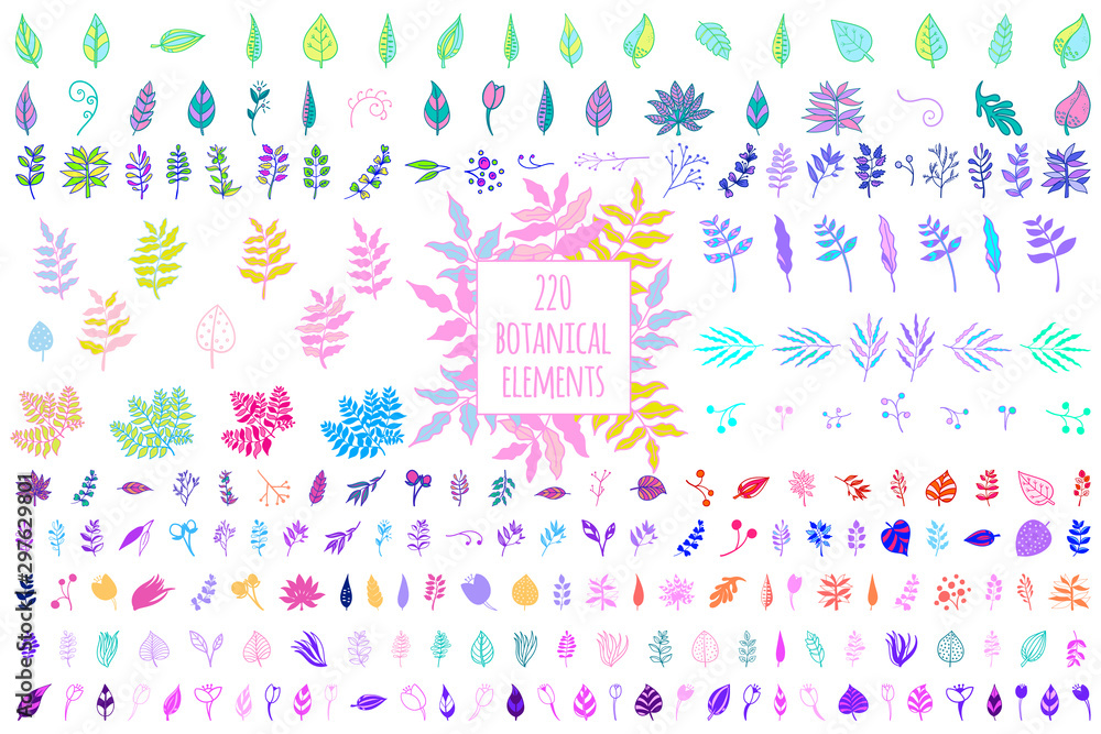 Aufkleber vector botanical hand drawn set of colorful elegant elements for logo design. flowers and plants iso