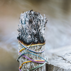 Burning white sagebrush incense in a forest.The witchcraft and mystical concept.