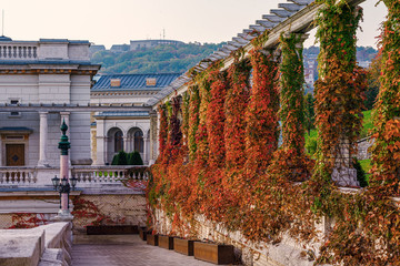 Varkert bazar in Budapest. This is a historical place where you can visit for free.