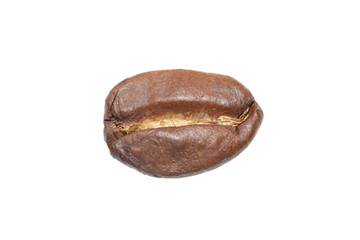 coffee bean isolated  on white background