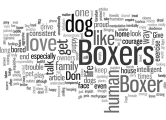 Fototapeta premium Is a Boxer Dog The Right Pet For You