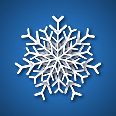 Paper cut snowflake
