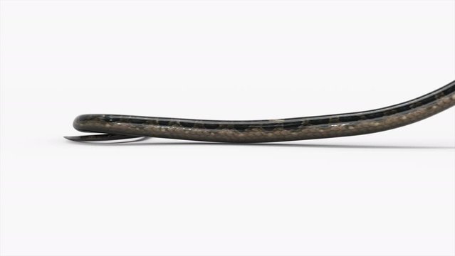 Realistic snake in attack animation stock footage with 3d rendering in alpha path.