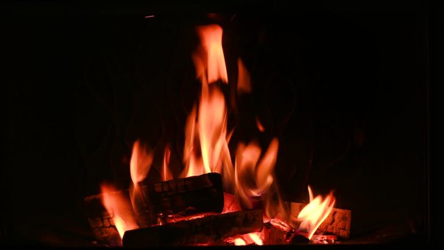 firewood burn in a fireplace close-up