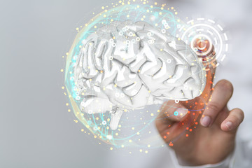 brain