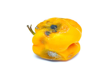 Rotten yellow pepper isolated on white background. Moldy vegetable.