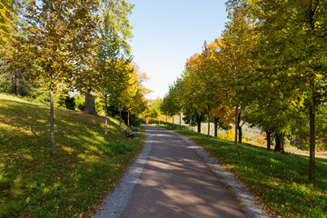 The path leads in one directions. The way to the autumn park in the centre of the forest.